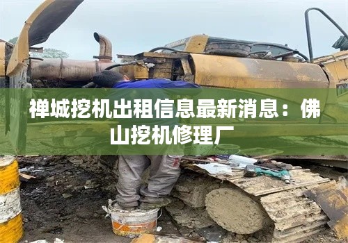 禪城挖機(jī)出租信息最新消息：佛山挖機(jī)修理廠 