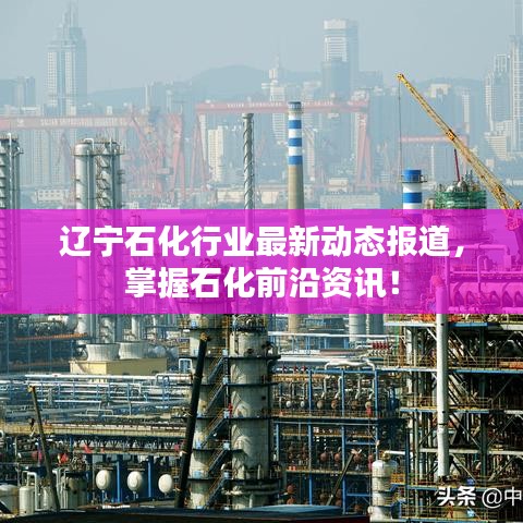 遼寧石化行業(yè)最新動態(tài)報道，掌握石化前沿資訊！