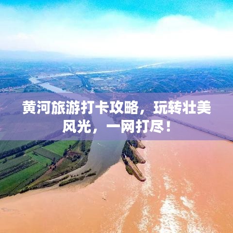 鳥集鱗萃 第2頁