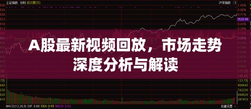 A股最新視頻回放，市場走勢深度分析與解讀