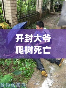 開封大爺爬樹死亡事故最新消息：開封景區(qū)打人 