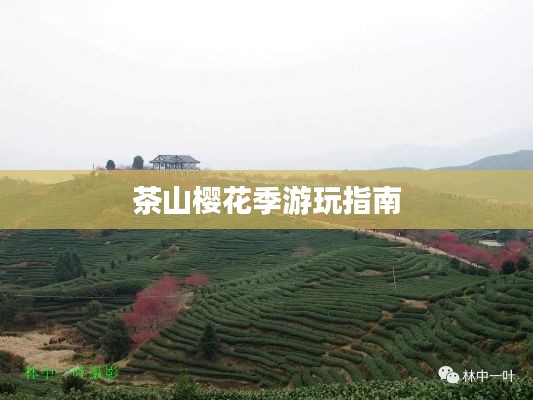洵屬可貴 第3頁
