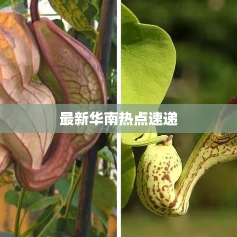 就正有道 第3頁(yè)