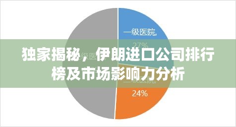 獨家揭秘，伊朗進口公司排行榜及市場影響力分析