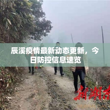 辰溪疫情最新動(dòng)態(tài)更新，今日防控信息速覽