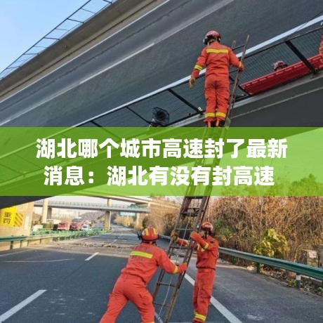 湖北哪個城市高速封了最新消息：湖北有沒有封高速 