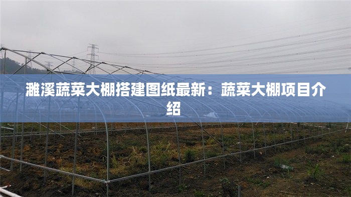 濉溪蔬菜大棚搭建圖紙最新：蔬菜大棚項(xiàng)目介紹 