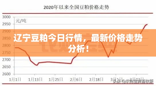 遼寧豆粕今日行情，最新價格走勢分析！
