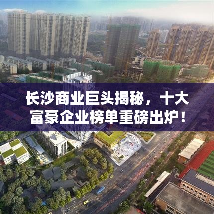 長沙商業(yè)巨頭揭秘，十大富豪企業(yè)榜單重磅出爐！