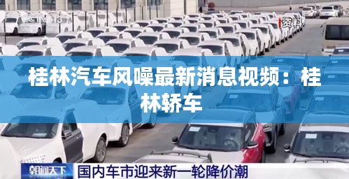 桂林汽車風(fēng)噪最新消息視頻：桂林轎車 