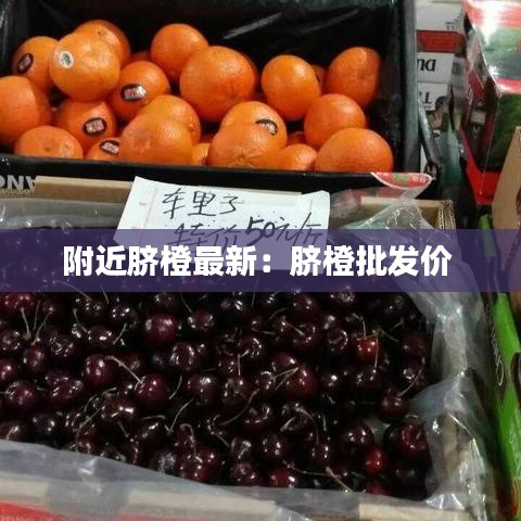 附近臍橙最新：臍橙批發(fā)價(jià) 