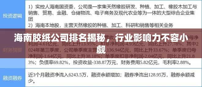 海南膠紙公司排名揭秘，行業(yè)影響力不容小覷