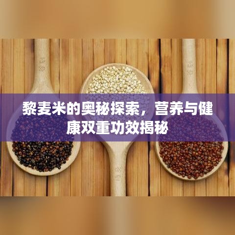 黎麥米的奧秘探索，營(yíng)養(yǎng)與健康雙重功效揭秘