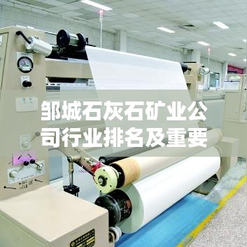 鄒城石灰石礦業(yè)公司行業(yè)排名及重要行業(yè)地位解析