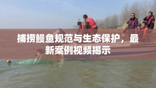 捕撈鰻魚規(guī)范與生態(tài)保護(hù)，最新案例視頻揭示