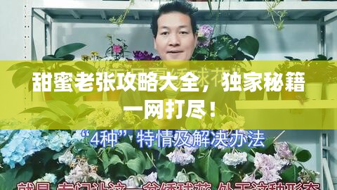甜蜜老張攻略大全，獨(dú)家秘籍一網(wǎng)打盡！