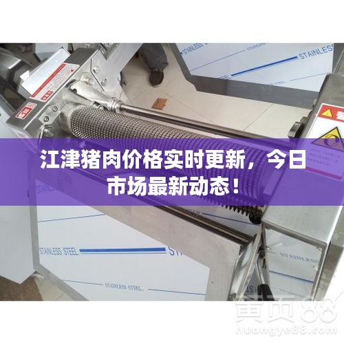 江津豬肉價格實時更新，今日市場最新動態(tài)！