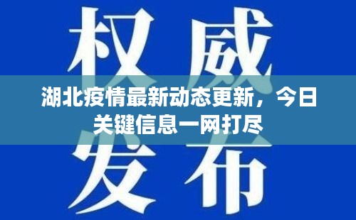 湖北疫情最新動態(tài)更新，今日關(guān)鍵信息一網(wǎng)打盡