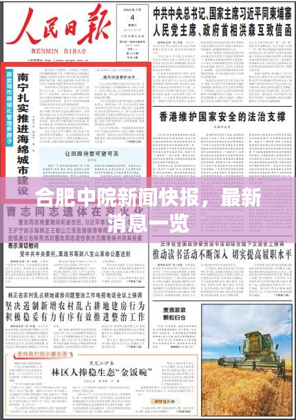 合肥中院新聞快報(bào)，最新消息一覽