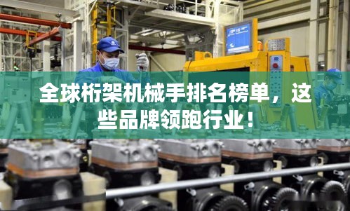 全球桁架機(jī)械手排名榜單，這些品牌領(lǐng)跑行業(yè)！