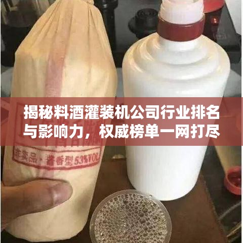 揭秘料酒灌裝機公司行業(yè)排名與影響力，權(quán)威榜單一網(wǎng)打盡！