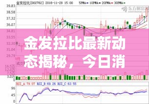 金發(fā)拉比最新動態(tài)揭秘，今日消息一網(wǎng)打盡！