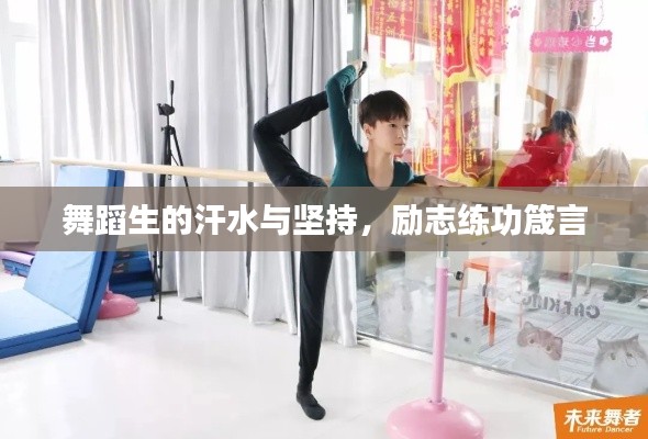 舞蹈生的汗水與堅(jiān)持，勵(lì)志練功箴言