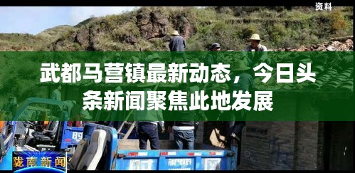 武都馬營鎮(zhèn)最新動態(tài)，今日頭條新聞聚焦此地發(fā)展