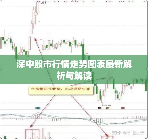 深中股市行情走勢圖表最新解析與解讀