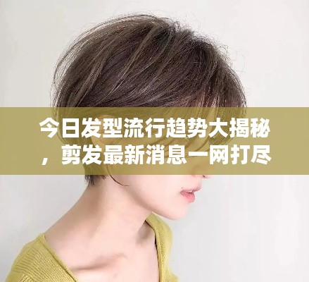 今日發(fā)型流行趨勢(shì)大揭秘，剪發(fā)最新消息一網(wǎng)打盡