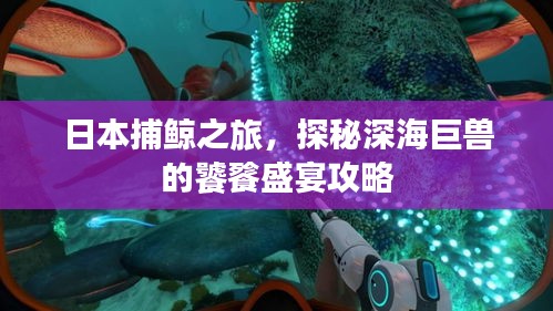 日本捕鯨之旅，探秘深海巨獸的饕餮盛宴攻略