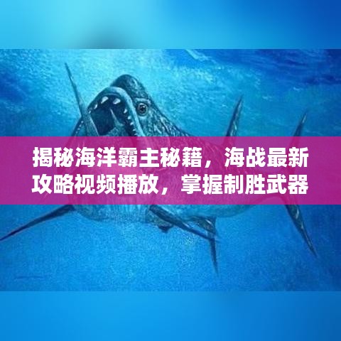 揭秘海洋霸主秘籍，海戰(zhàn)最新攻略視頻播放，掌握制勝武器！