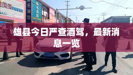 雄縣今日嚴(yán)查酒駕，最新消息一覽