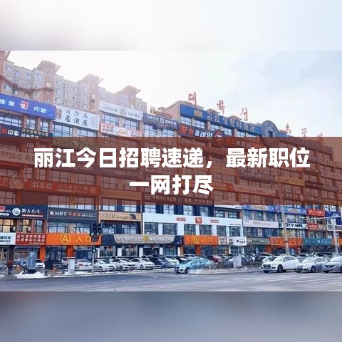 麗江今日招聘速遞，最新職位一網(wǎng)打盡