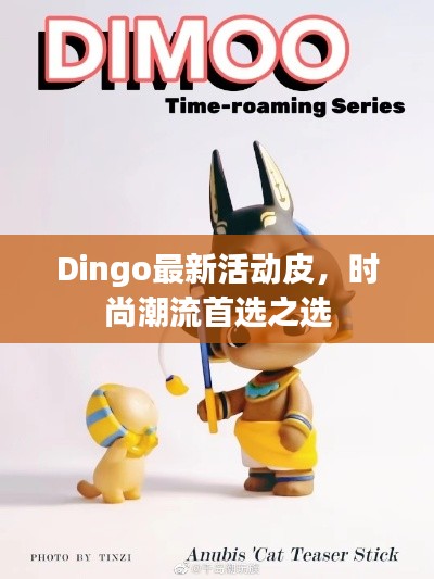 Dingo最新活動(dòng)皮，時(shí)尚潮流首選之選