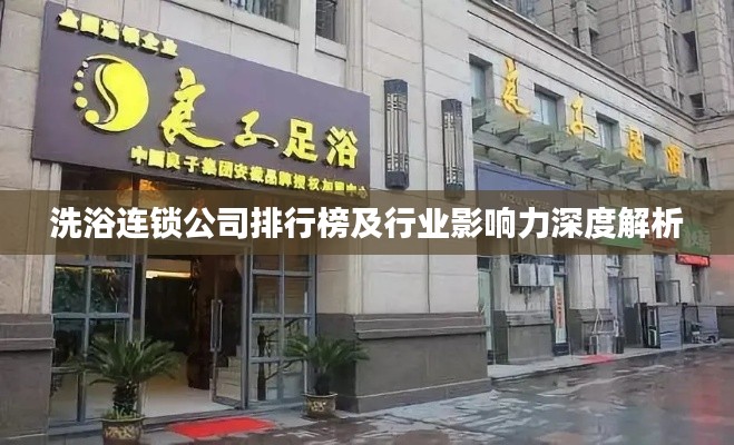 洗浴連鎖公司排行榜及行業(yè)影響力深度解析