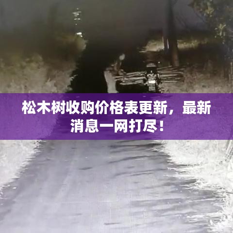 松木樹收購(gòu)價(jià)格表更新，最新消息一網(wǎng)打盡！