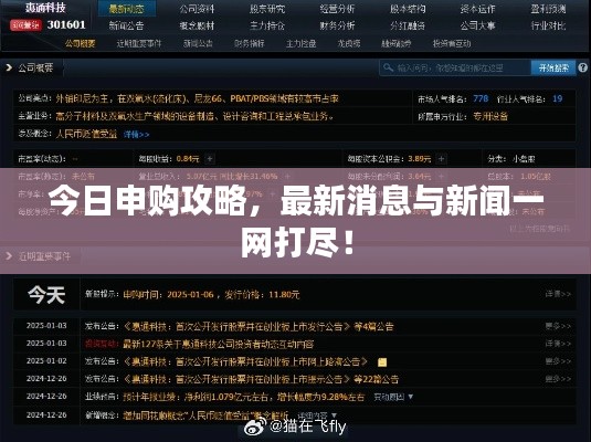 今日申購攻略，最新消息與新聞一網(wǎng)打盡！