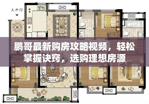 鵬哥最新購(gòu)房攻略視頻，輕松掌握訣竅，選購(gòu)理想房源