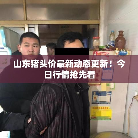 山東豬頭價(jià)最新動(dòng)態(tài)更新！今日行情搶先看