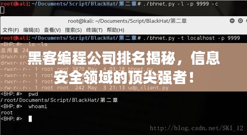 黑客編程公司排名揭秘，信息安全領(lǐng)域的頂尖強(qiáng)者！