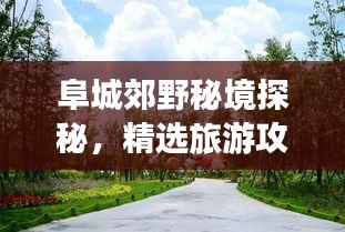 阜城郊野秘境探秘，精選旅游攻略