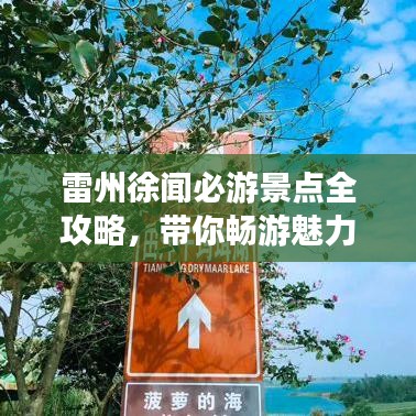 雷州徐聞必游景點(diǎn)全攻略，帶你暢游魅力之旅！