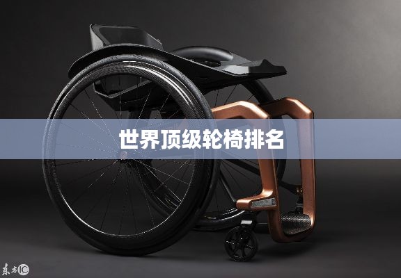 世界頂級(jí)輪椅排名