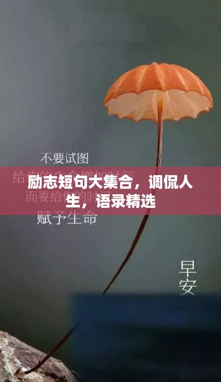 勵志短句大集合，調(diào)侃人生，語錄精選