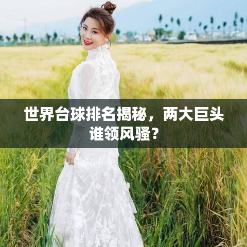 世界臺(tái)球排名揭秘，兩大巨頭誰領(lǐng)風(fēng)騷？