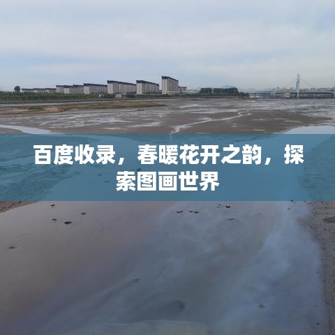 百度收錄，春暖花開之韻，探索圖畫世界