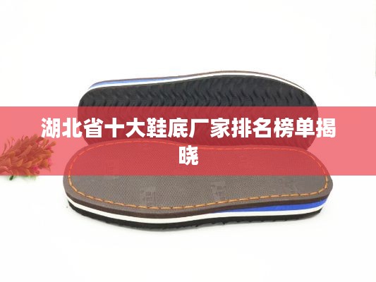 湖北省十大鞋底廠家排名榜單揭曉