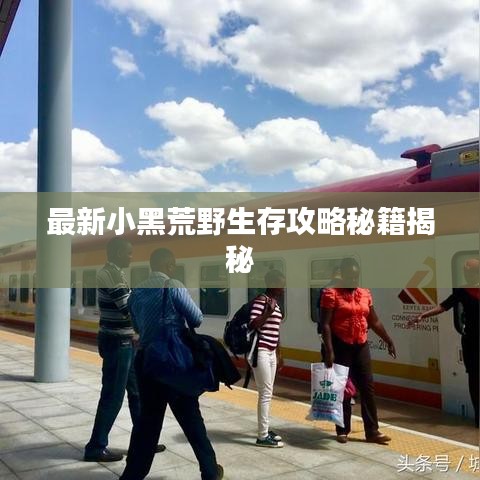 最新小黑荒野生存攻略秘籍揭秘