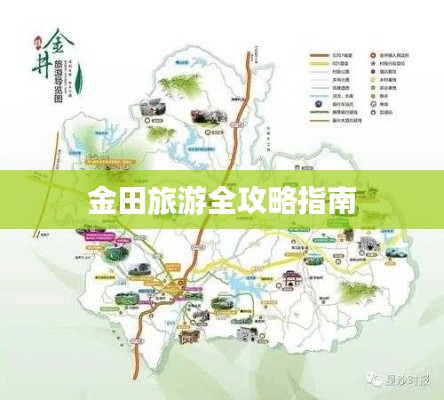 金田旅游全攻略指南